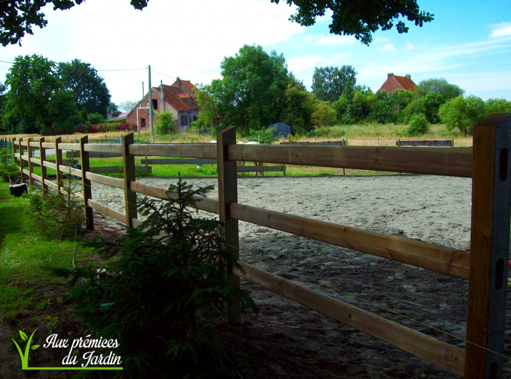 Clôture westminster chevaux bois Aux prémices du jardin aménagement équestre piste